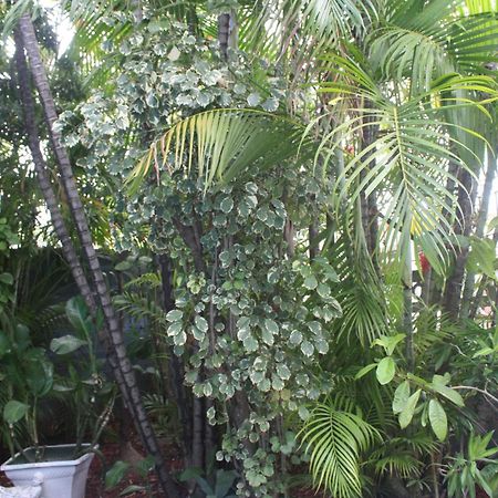 Caribbean Tourist Villa Port of Spain Exterior photo